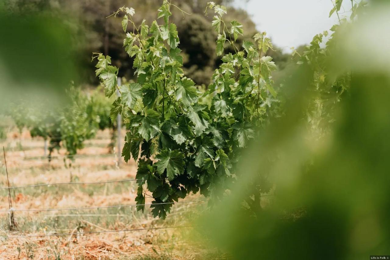 Domaine Des Bruguieres Villa Entrecasteaux Bagian luar foto