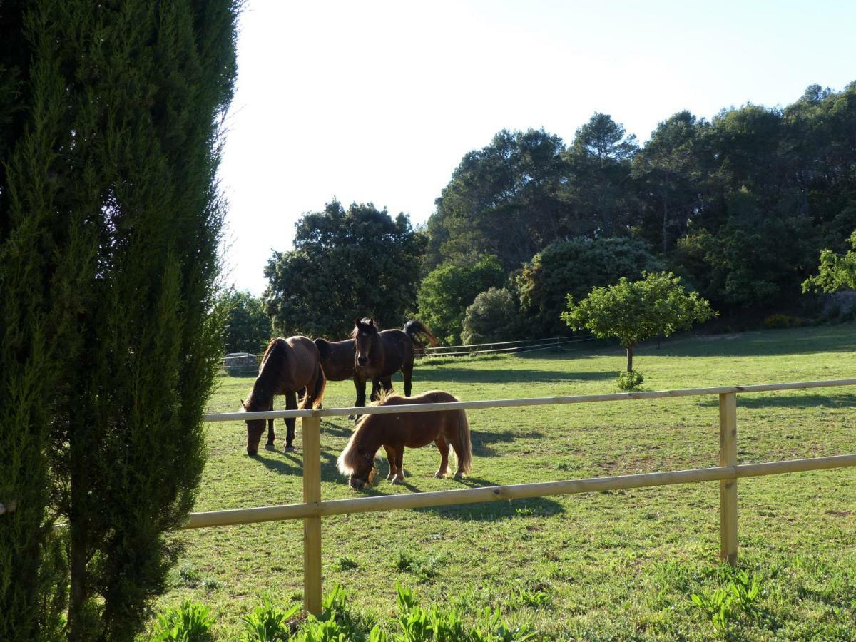 Domaine Des Bruguieres Villa Entrecasteaux Bagian luar foto